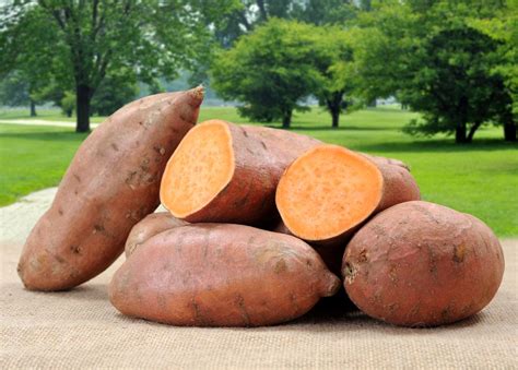 Do Sweet Potatoes Have Protein In Them at Robert Mcclure blog