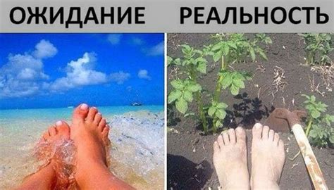 Подборка летних шуток » Sivator.com-это увлекательный развлекательный ...