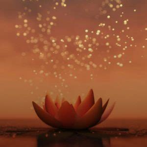 Pranic Healing USA