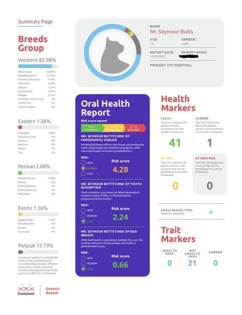 Mr. Seymour Butts : r/nebelung