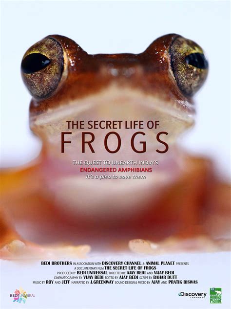 The Secret Life of Frogs | Rotten Tomatoes