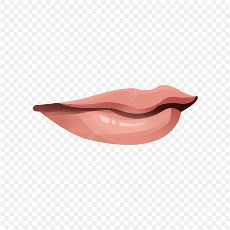 Smiling Lips White Transparent, Lips Smile Image Simple Color, Kiss Lips Lipstick, Kiss Vector ...