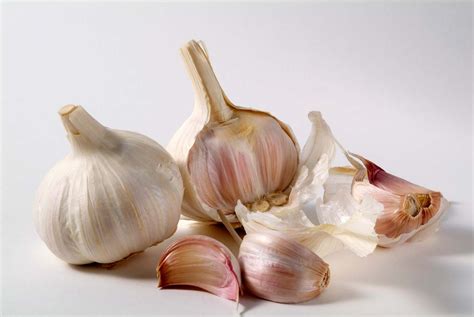 Garlic Bulb Vs Garlic Clove