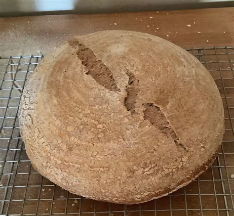 Basic Whole Wheat Yeast Bread - Recipes - Breadtopia Forum