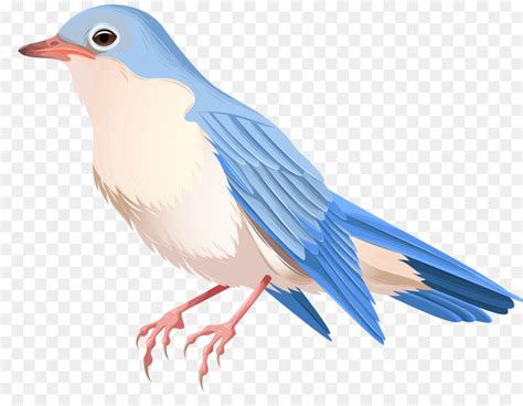 Bird Clip art - paper birds png download - 8000*6133 - Free Transparent ...