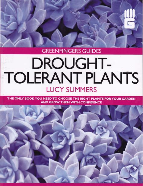 HOME - Lucy Summers Co Expert freelance garden writer