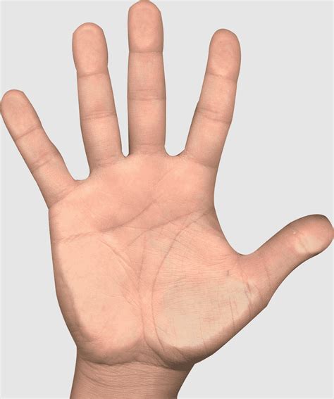 hand surgery hamsa sign language hand model nail glove human body