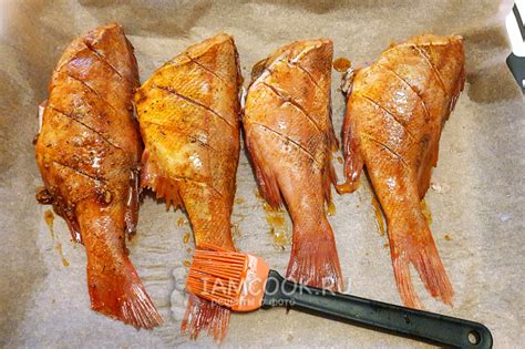 Морской окунь в духовке с лимоном — рецепт с фото пошагово