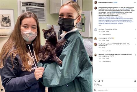 Rhegan777 Cat Neglect | Rhegan Cat Neglect Controversy | Know Your Meme