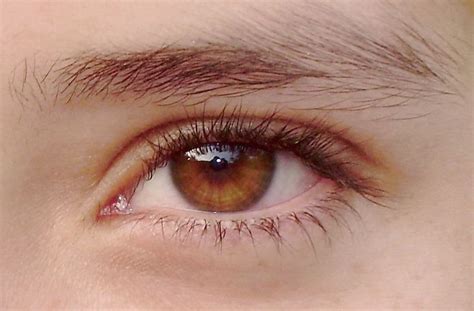 Honey-colored eye / Color de miel | Brown eyes aesthetic, Amber eyes ...