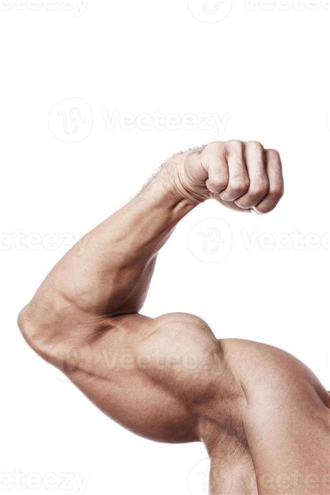 muscular male arm  bicep peak  stock photo  vecteezy