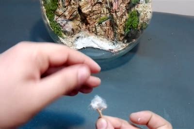 DIY Terrarium/Aquascaping /diorama | Terrarium diy, Terrarium, Diy succulent terrarium