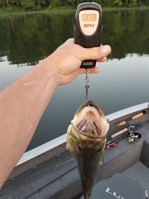 Lake of egypt Illinois - Illinois Fishing – General Discussion