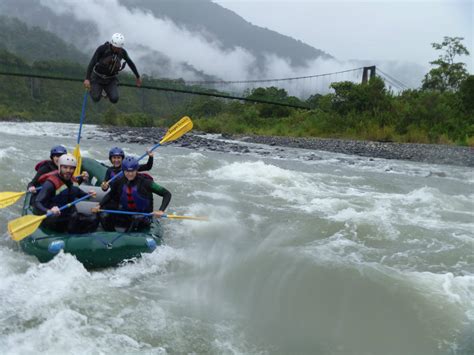 37 Fotos tomadas exactamente en el momento correcto