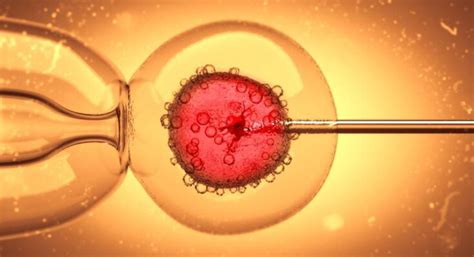 microinjection      applications  science