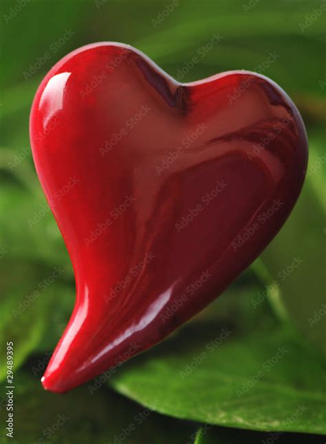 serce stock photo adobe stock