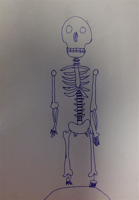 contour drawing in art