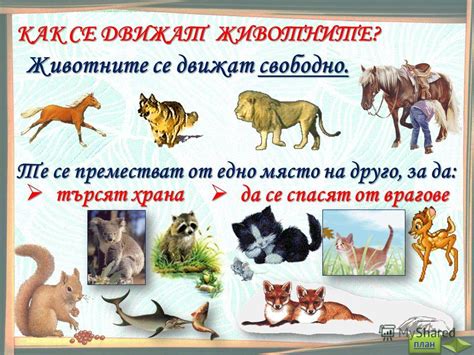 Презентация на тему: "Живите организми са: Кликни върху картинката ...