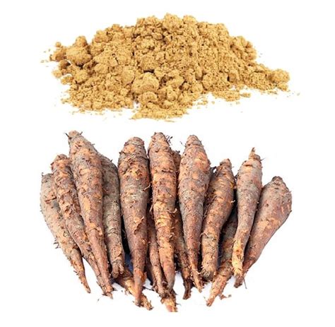 HERBS SHIMUL ROOT POWDER 100 gm & 1 Kg – Herbs World Limited