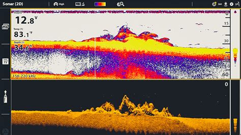 Sonar Basics: How To Interpret Down Imaging Sonar — Tactical Bassin ...