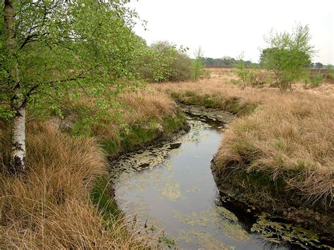 Vledder Aa, Drenthe