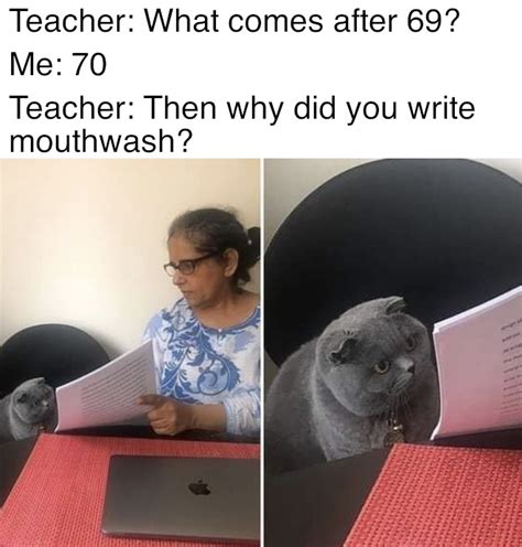 File:Woman Showing Papers to Grey Cat meme 3.jpg - Meming Wiki