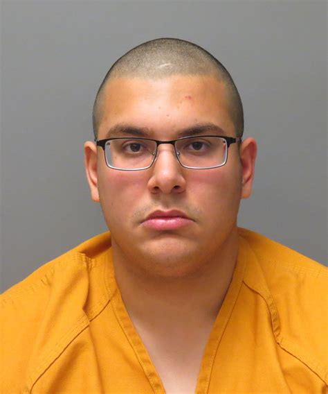 Hillsborough county jail arrest inquiry reveals a shocking statistic 31