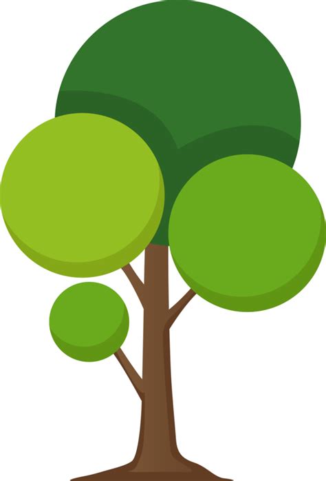 illustration  tree  png