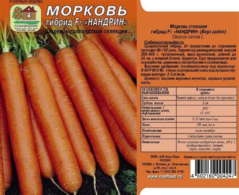 Морковь нандрин описание сорта