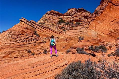 Discover the Stunning Coyote Buttes South as an Alternative to the Wave