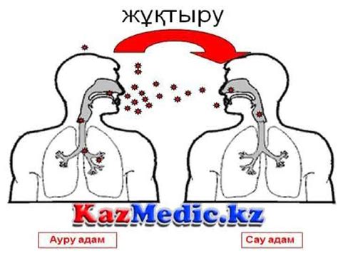 Манту сынамасы - презентация онлайн