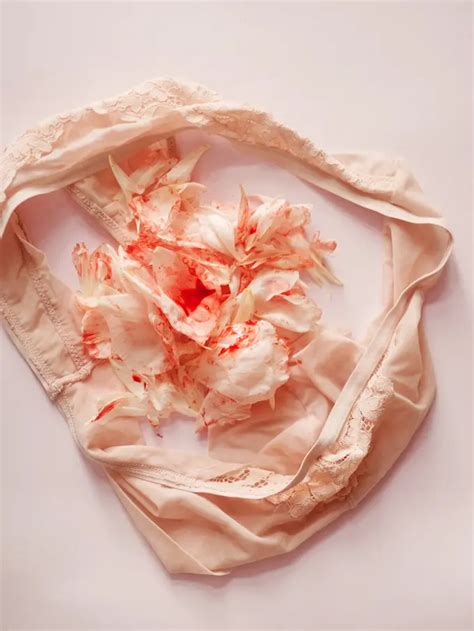 haid berikut  makanan  wajib  dikonsumsi