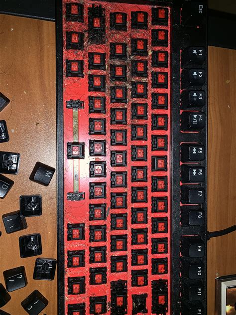 Never cleaned keyboard : r/hardwaregore