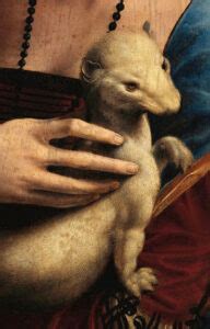 lady   ermine   czartoryski museum krakowtop