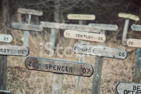 Pet Cemetery Stock Photo | Royalty-Free | FreeImages