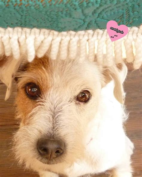 #guten morgen #mittwoch#mittederwoche #wirstartenindentag🌞😎 #betty💟#prt ...