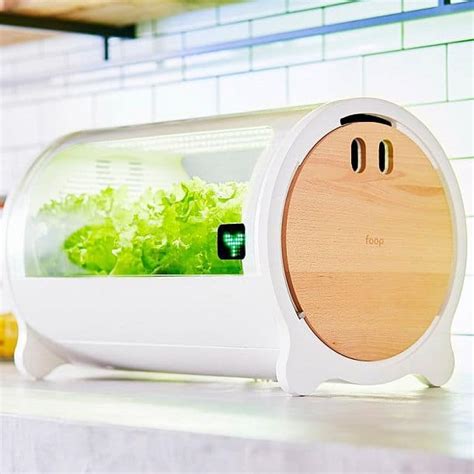 Умный домашний огород на гидропонике foop Lite купить и цена | Goodsi.ru