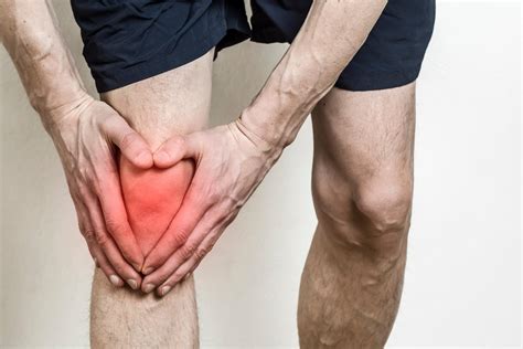 Hormone-hardened tendons could help repair torn knee cartilage