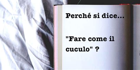 perche  dicefare  il cuculo