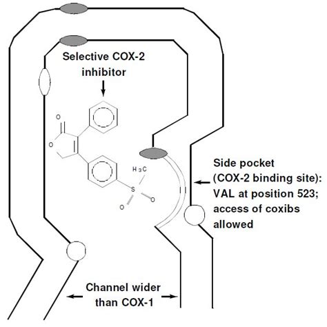selective cyclooxygenase  inhibitors   preventing