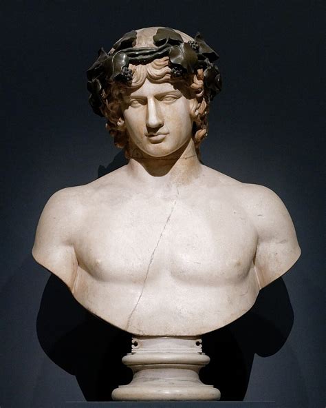 categoryantinous wikimedia commons