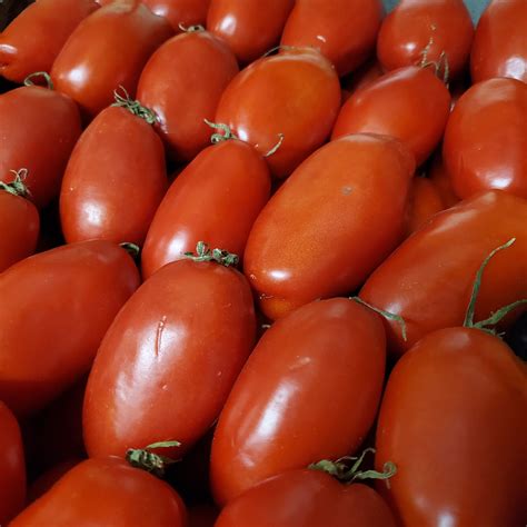 San Marzano Tomatoes Information, Recipes and Facts