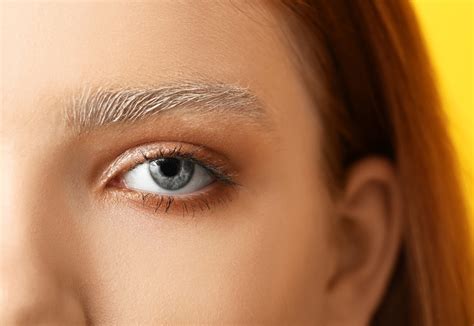 bleached brows la tendance des sourcils blanchis