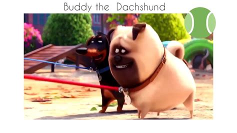 The Secret Life Of Pets - Buddy & Mel in the park - My Dachshund