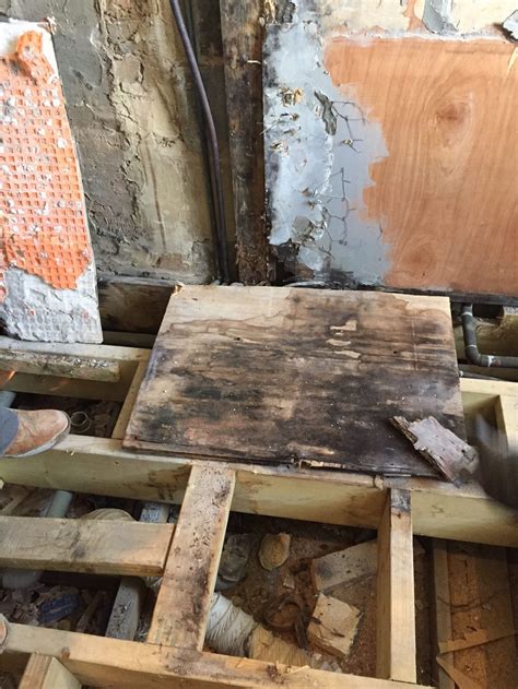 Exploring Amenities and Property on New Kings Road, Fulham 18