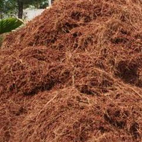 indias coir pith exports  gain  uks move  ban peat moss