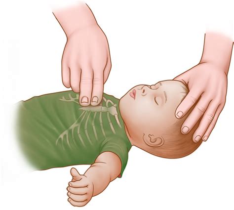 cpr  infants    months step  step guide