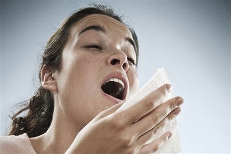 What Causes Allergies? | Scientific American