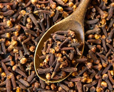 The Benefits Of Cloves Sexually For Both Men And Women