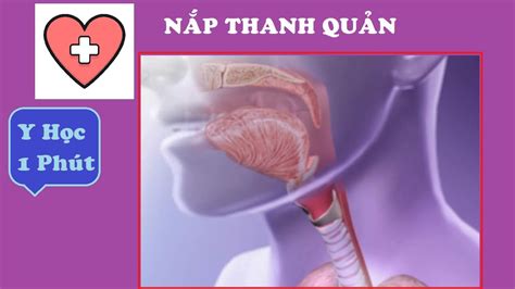 hoc  phut nap thanh quan  hoc vui youtube
